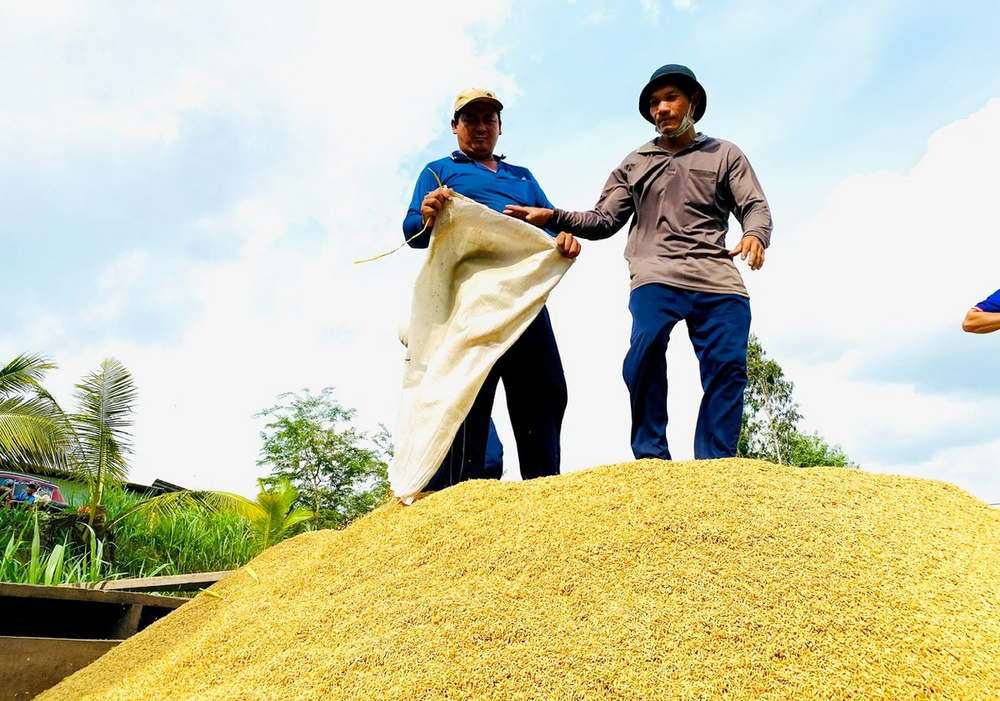 Xuất khẩu gạo tại Đồng bằng sông Cửu Long lập kỷ lục mới - Ảnh 2.
