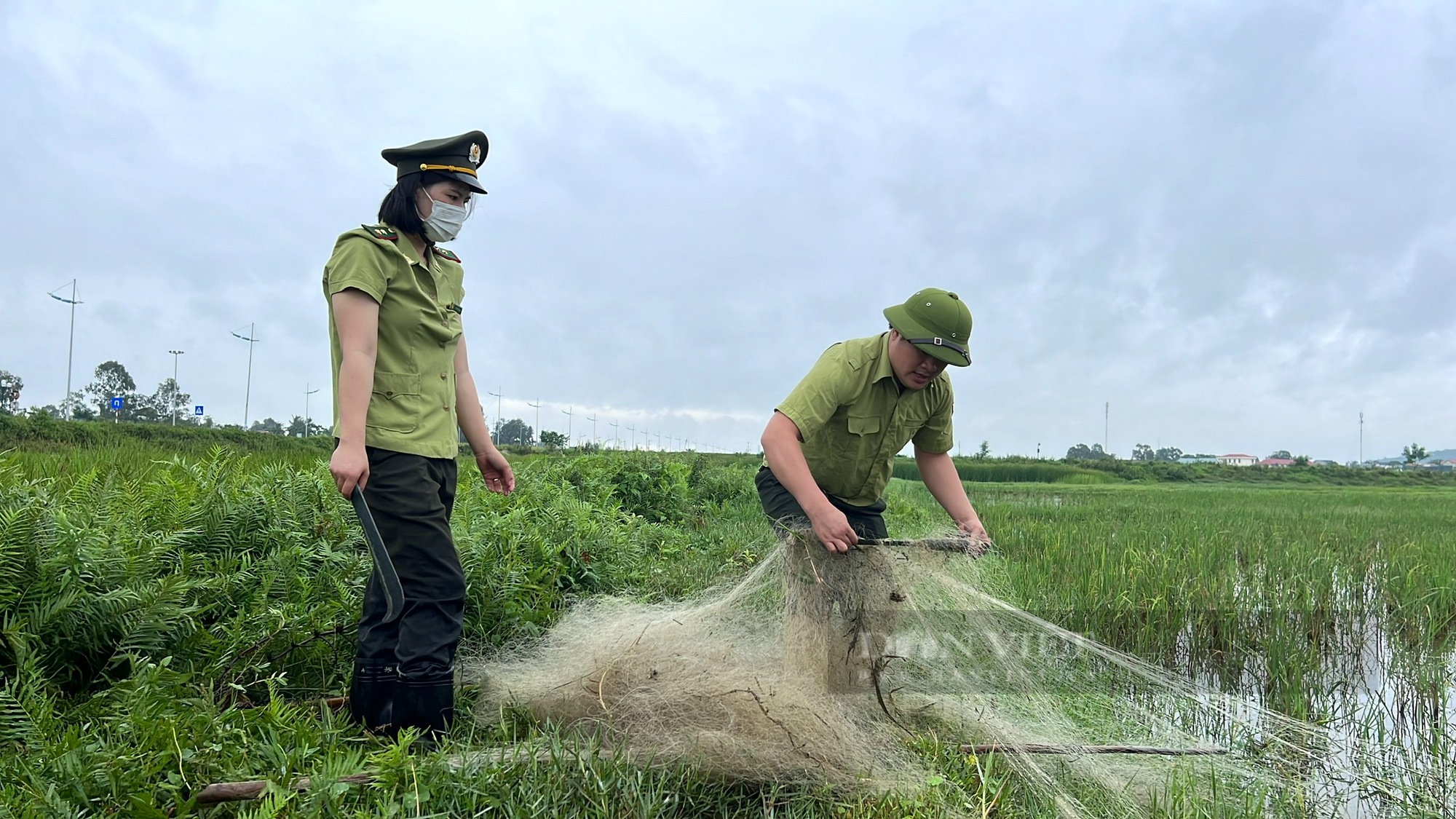 Thanh Hóa tháo gỡ những “thiên la, địa võng” bẫy chim, cò sau phản ánh của báo Dân Việt - Ảnh 13.