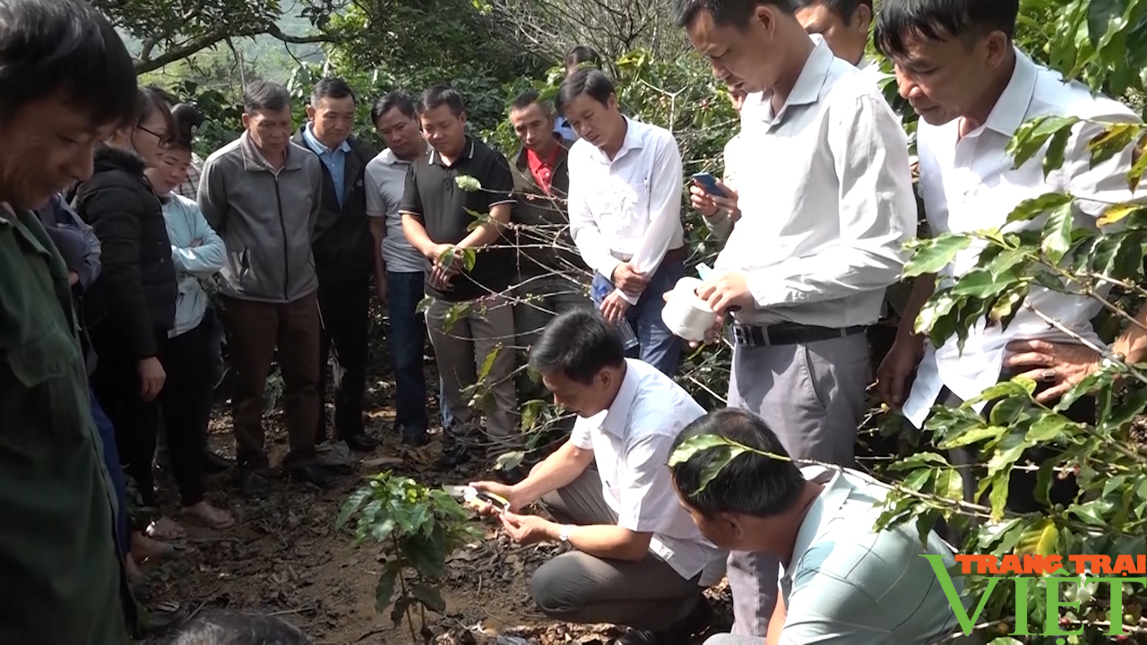 Sơn La: Chuẩn bị tốt các điều kiện tổ chức Đại hội Hội Nông dân lần thứ X - Ảnh 3.