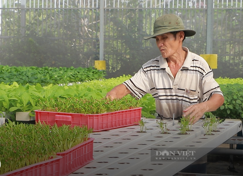 Loạt cơ chế, chính sách TP.HCM hỗ trợ nông dân các huyện nông thôn mới - Ảnh 3.