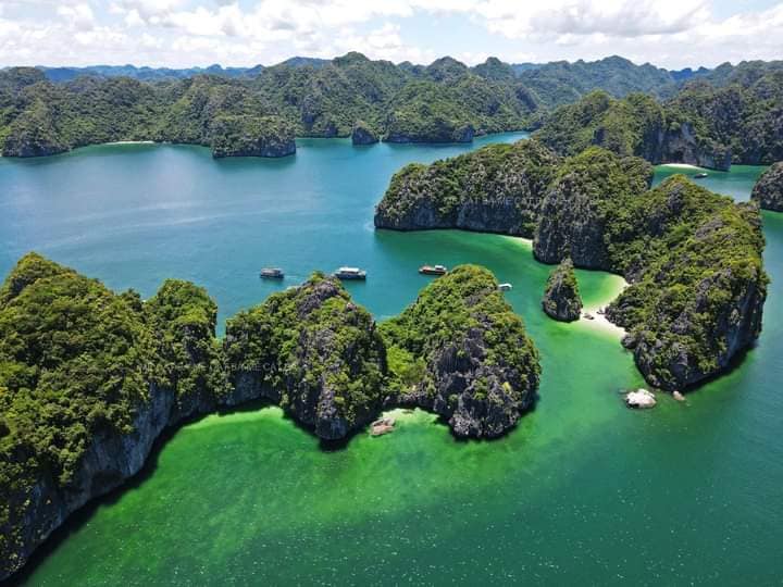 Vịnh Hạ Long - Quần đảo Cát Bà được UNESCO công nhận là Di sản Thiên nhiên Thế giới nhờ các yếu tố nào? - Ảnh 2.