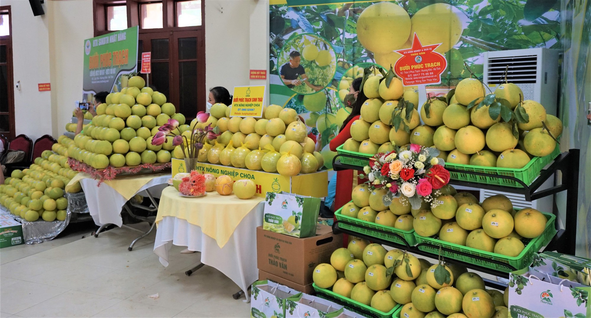 Một huyện miền núi ở Hà Tĩnh thu 500 tỷ đồng từ loại quả đặc sản, đem sang tận Malaysia giới thiệu - Ảnh 8.