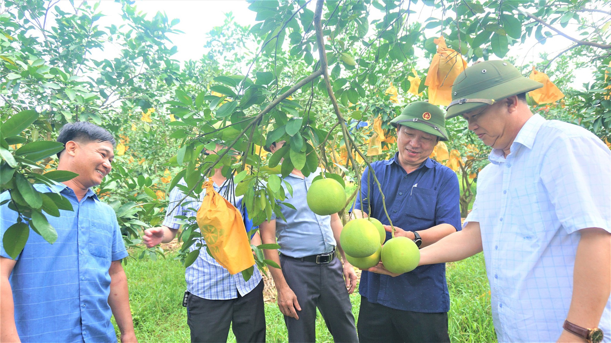 Một huyện miền núi ở Hà Tĩnh thu 500 tỷ đồng từ loại quả đặc sản, đem sang tận Malaysia giới thiệu - Ảnh 6.