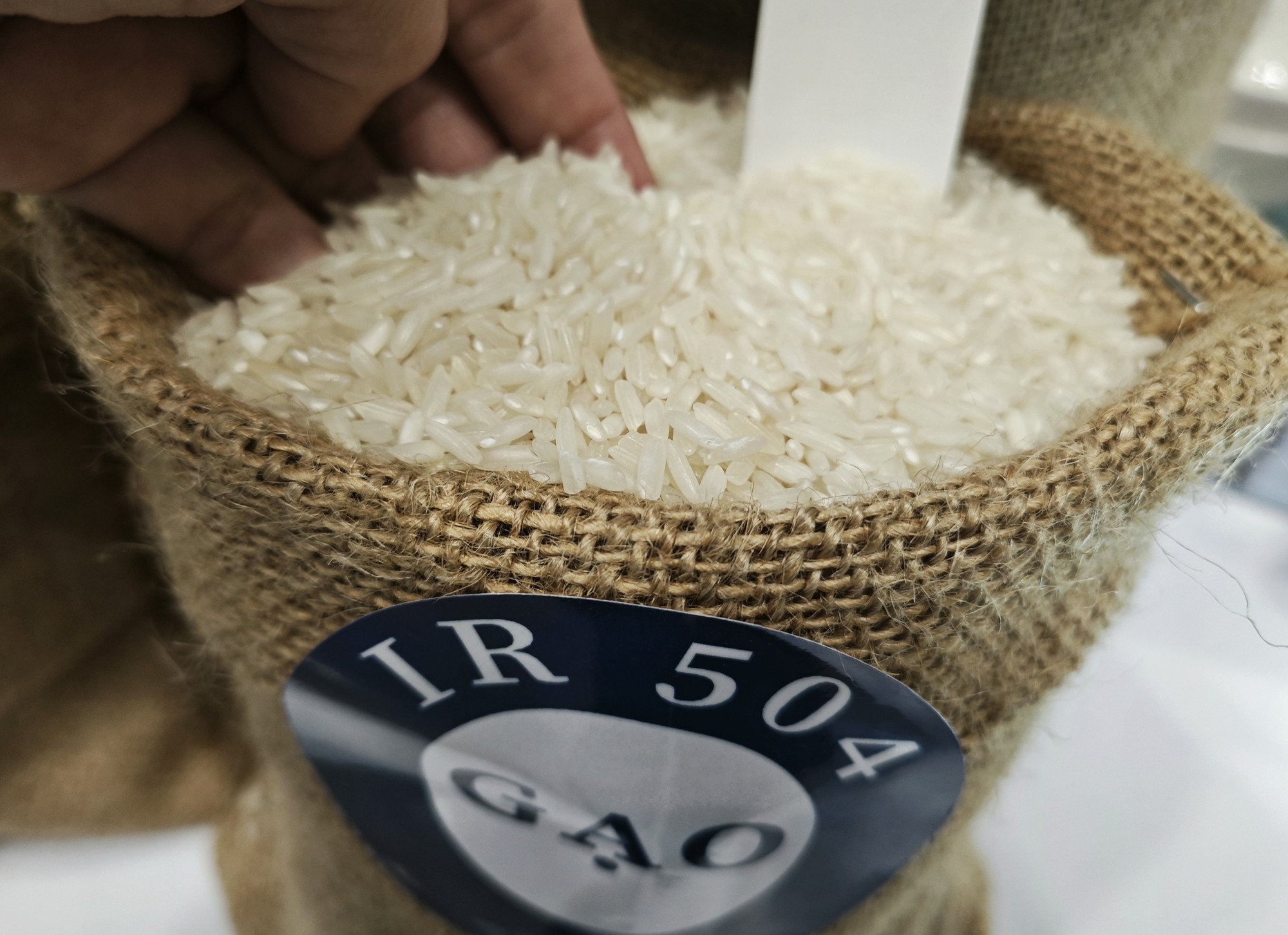 Lý do giá gạo xuất khẩu Việt Nam đột ngột rời đỉnh - Ảnh 1.