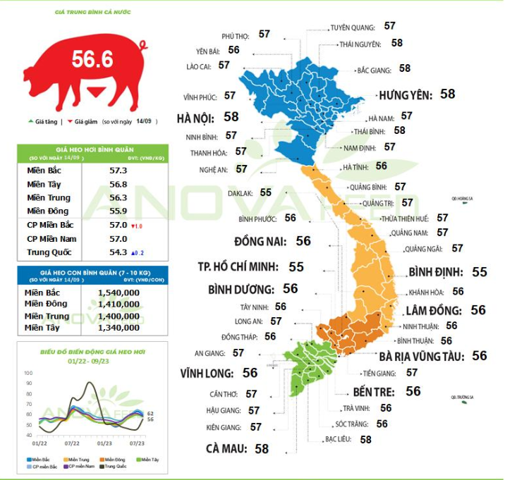'Ông lớn' C.P Việt Nam tiếp tục điều chỉnh giảm giá lợn, người chăn nuôi chưa dám tái đàn đón Tết - Ảnh 1.