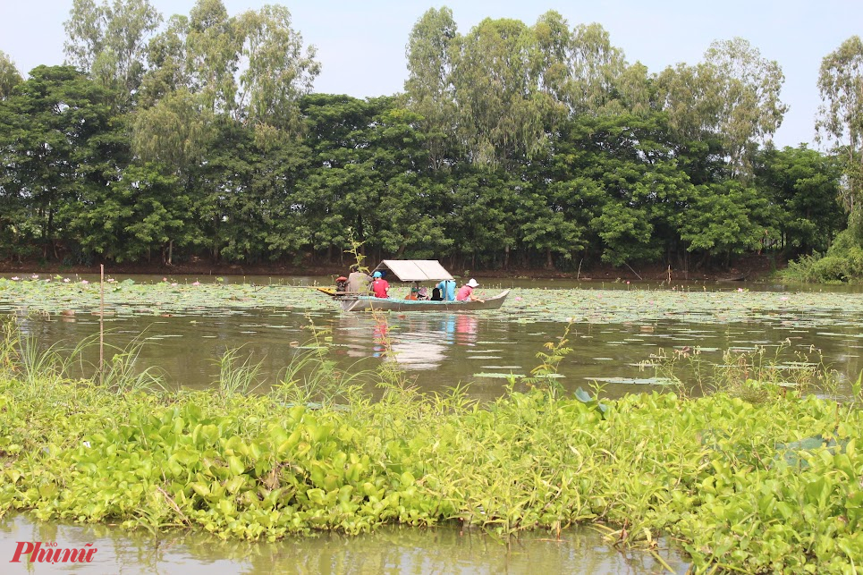 Châu Đốc mùa nước nổi - Ảnh 4.