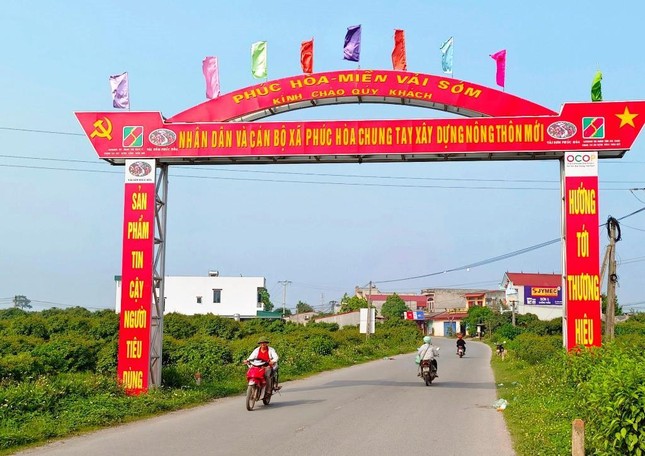 Tân Yên phấn đấu huyện đạt nông thôn mới nâng cao vào năm 2025 - Ảnh 1.