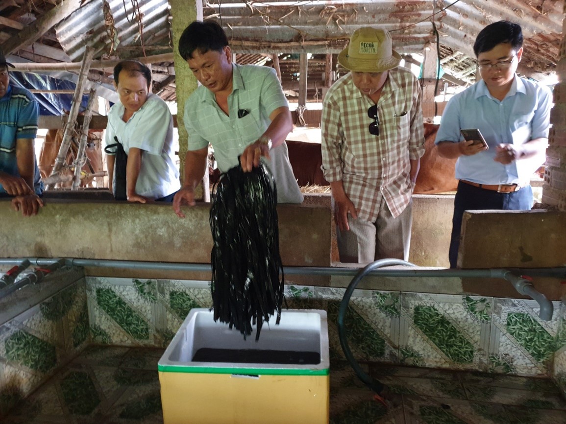 Mô hình nuôi lươn không bùn tiếp tục nhân rộng ở Phú Yên trong năm 2023 - Ảnh 1.