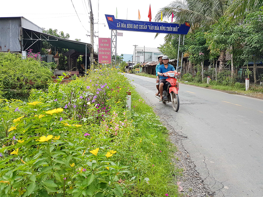 Một huyện của An Giang có những đường hoa nông thôn mới đẹp thế này đây, ai cũng ham chụp hình - Ảnh 3.