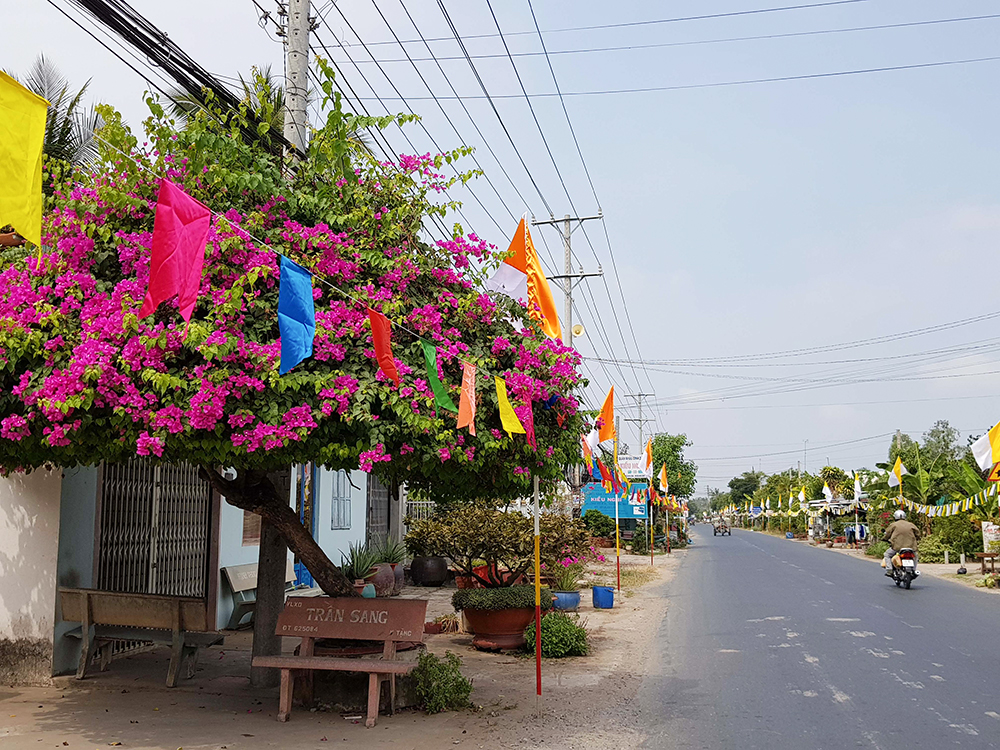 Một huyện của An Giang có những đường hoa nông thôn mới đẹp thế này đây, ai cũng ham chụp hình - Ảnh 7.