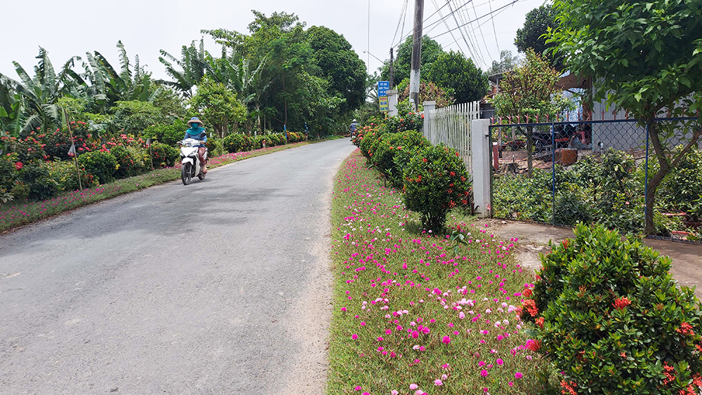 Một huyện của An Giang có những đường hoa nông thôn mới đẹp thế này đây, ai cũng ham chụp hình - Ảnh 2.