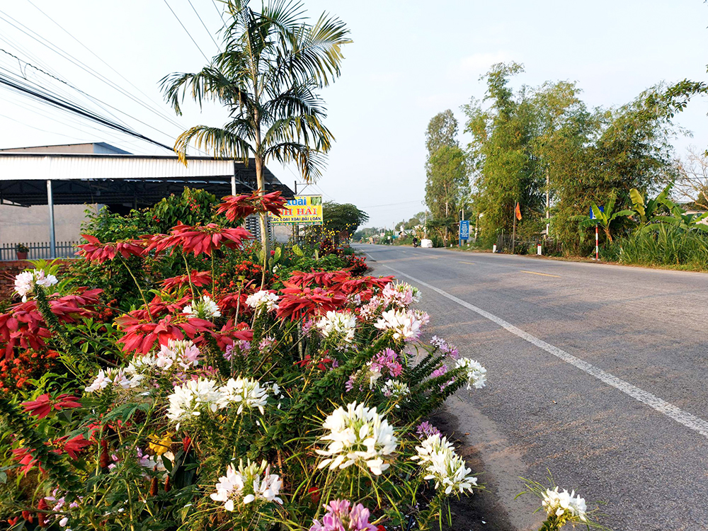 Một huyện của An Giang có những đường hoa nông thôn mới đẹp thế này đây, ai cũng ham chụp hình - Ảnh 8.