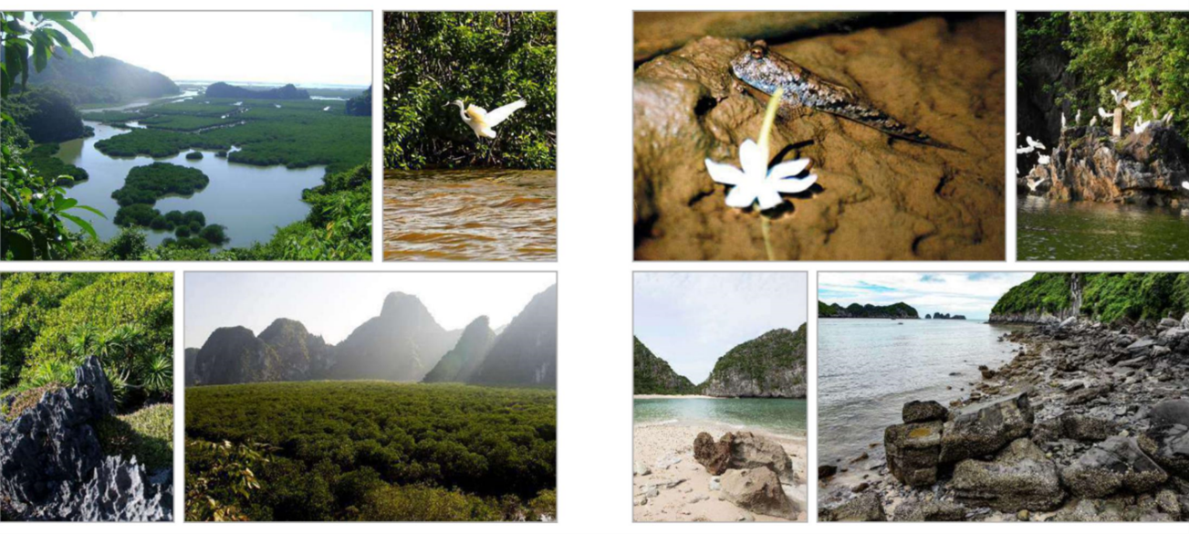 Vịnh Hạ Long - Quần đảo Cát Bà được công nhận là Di sản Thiên nhiên thế giới - Ảnh 4.