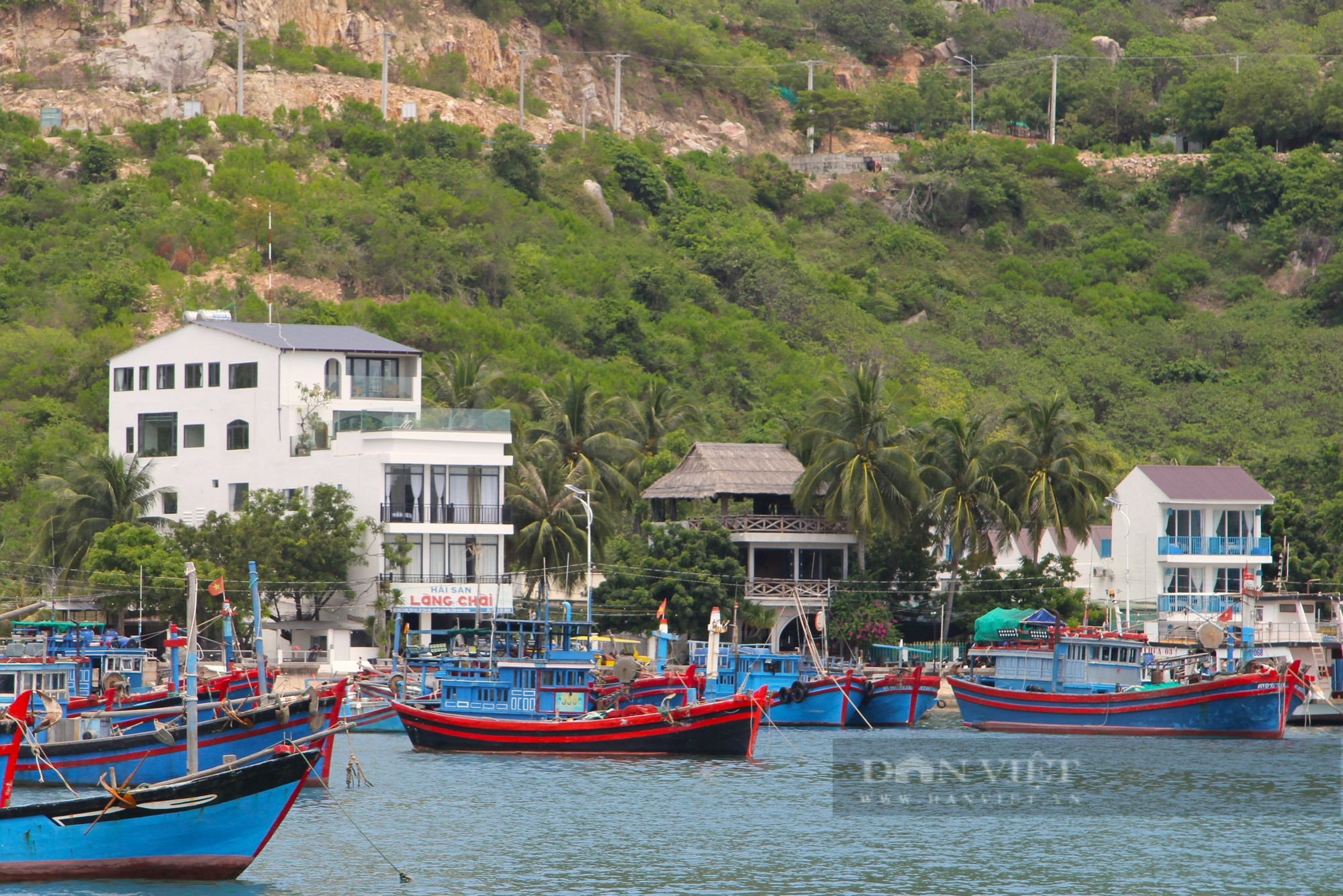 Huyện Ninh Hải kiểm những nhà hàng, khách sạn ở vịnh Vĩnh Hy bị “tố” xây dựng trên vùng đất trồng cây xanh - Ảnh 1.