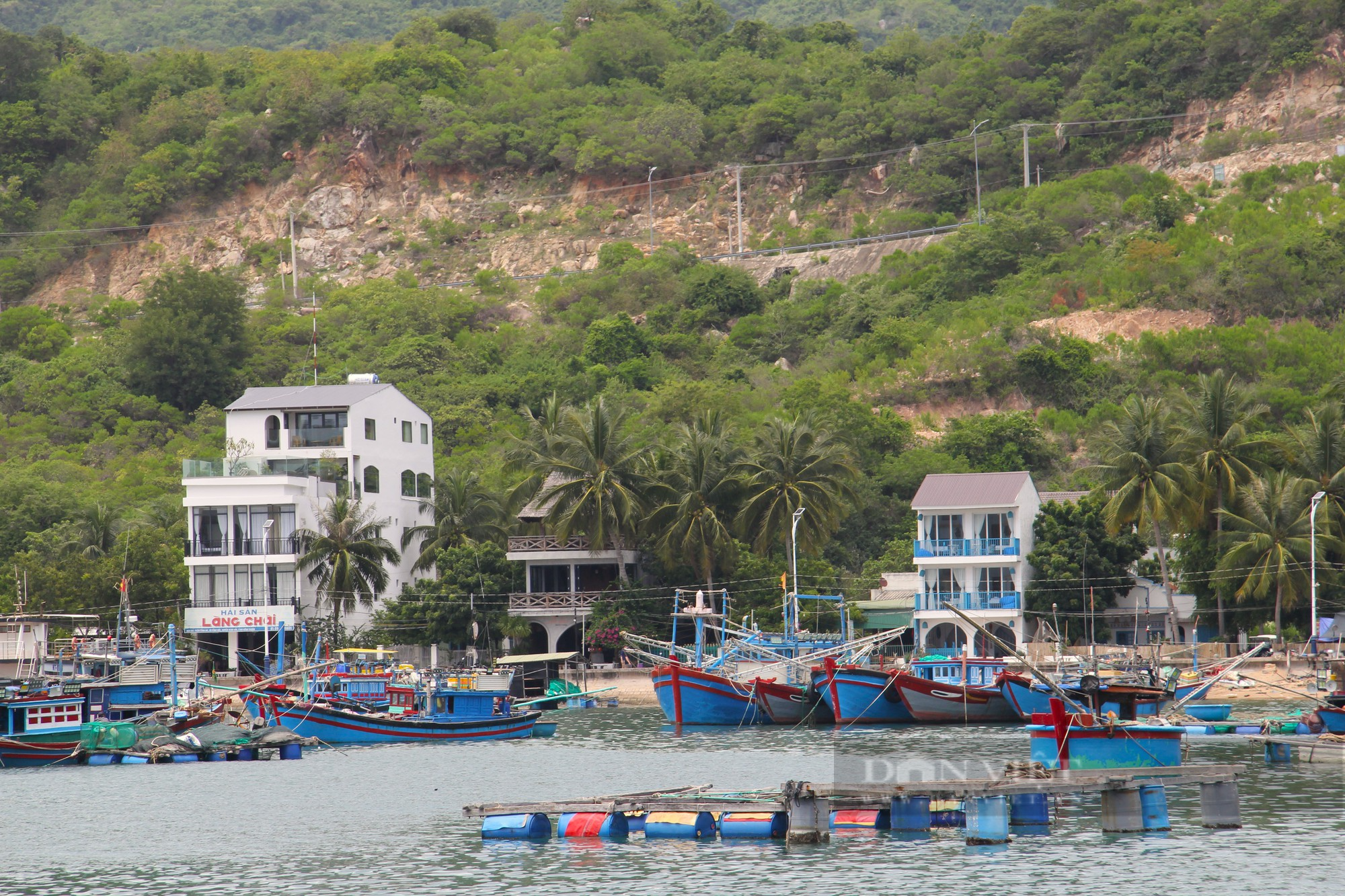Huyện Ninh Hải kiểm những nhà hàng, khách sạn ở vịnh Vĩnh Hy bị “tố” xây dựng trên vùng đất trồng cây xanh - Ảnh 5.