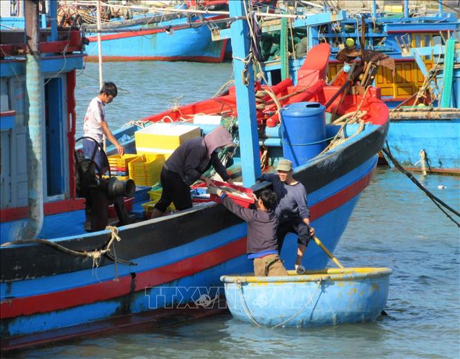 Không chỉ có khung cảnh tuyệt đẹp tựa như tranh vẽ, ngôi chợ này còn la liệt tôm, cá, mực tươi ngon roi rói - Ảnh 3.