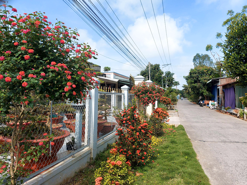 Một huyện của An Giang có những đường hoa nông thôn mới đẹp thế này đây, ai cũng ham chụp hình - Ảnh 9.