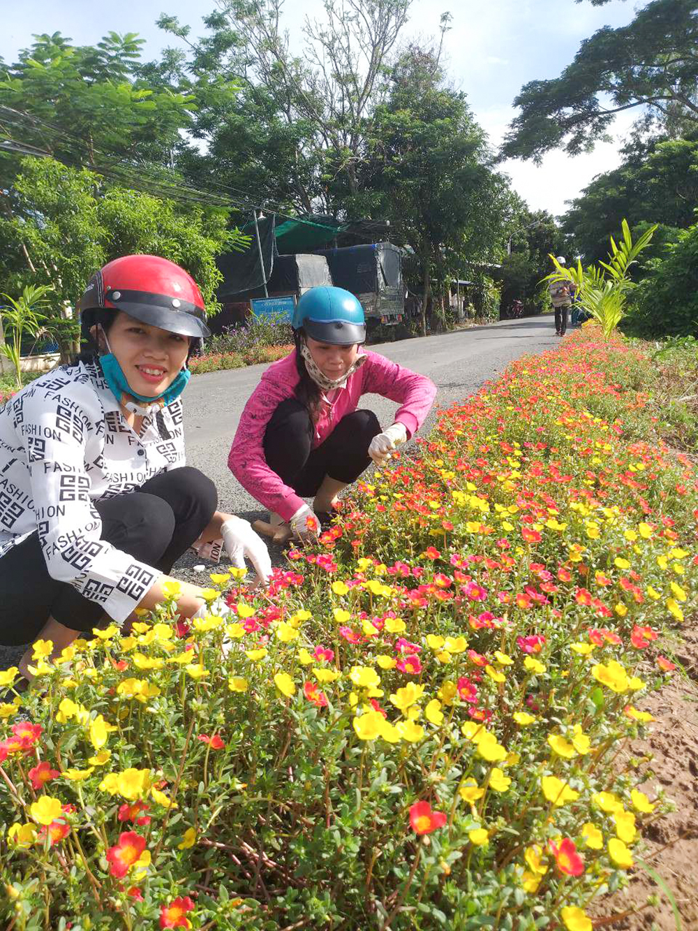 Một huyện của An Giang có những đường hoa nông thôn mới đẹp thế này đây, ai cũng ham chụp hình - Ảnh 1.