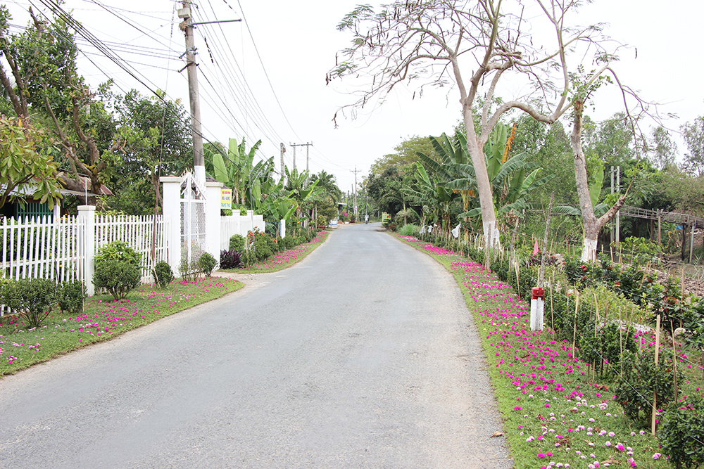 Một huyện của An Giang có những đường hoa nông thôn mới đẹp thế này đây, ai cũng ham chụp hình - Ảnh 5.
