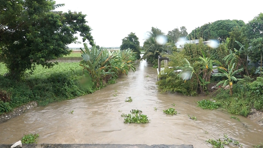 Một huyện của An Giang xả lũ hơn 1.200ha, nước đã tràn đồng - Ảnh 1.