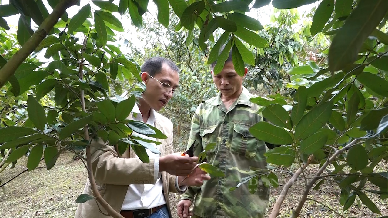 &quot;Giun tặc hoành hành&quot; (Kỳ 1): Vết dầu loang trên đất Sơn La - Ảnh 2.