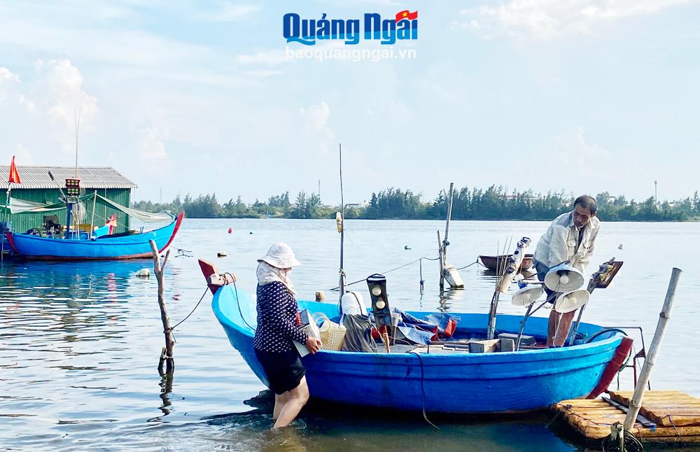 Ở một vịnh biển đẹp nổi tiếng ở Quảng Ngãi, dân câu thứ cá gì mà bán 300.000 đồng/kg, thu 2-3 triệu/đêm? - Ảnh 1.