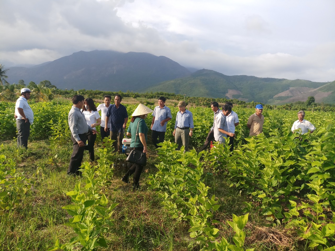 Nông dân Việt Nam xuất sắc 2023: Nông dân ở vùng cao được vinh danh - Ảnh 4.