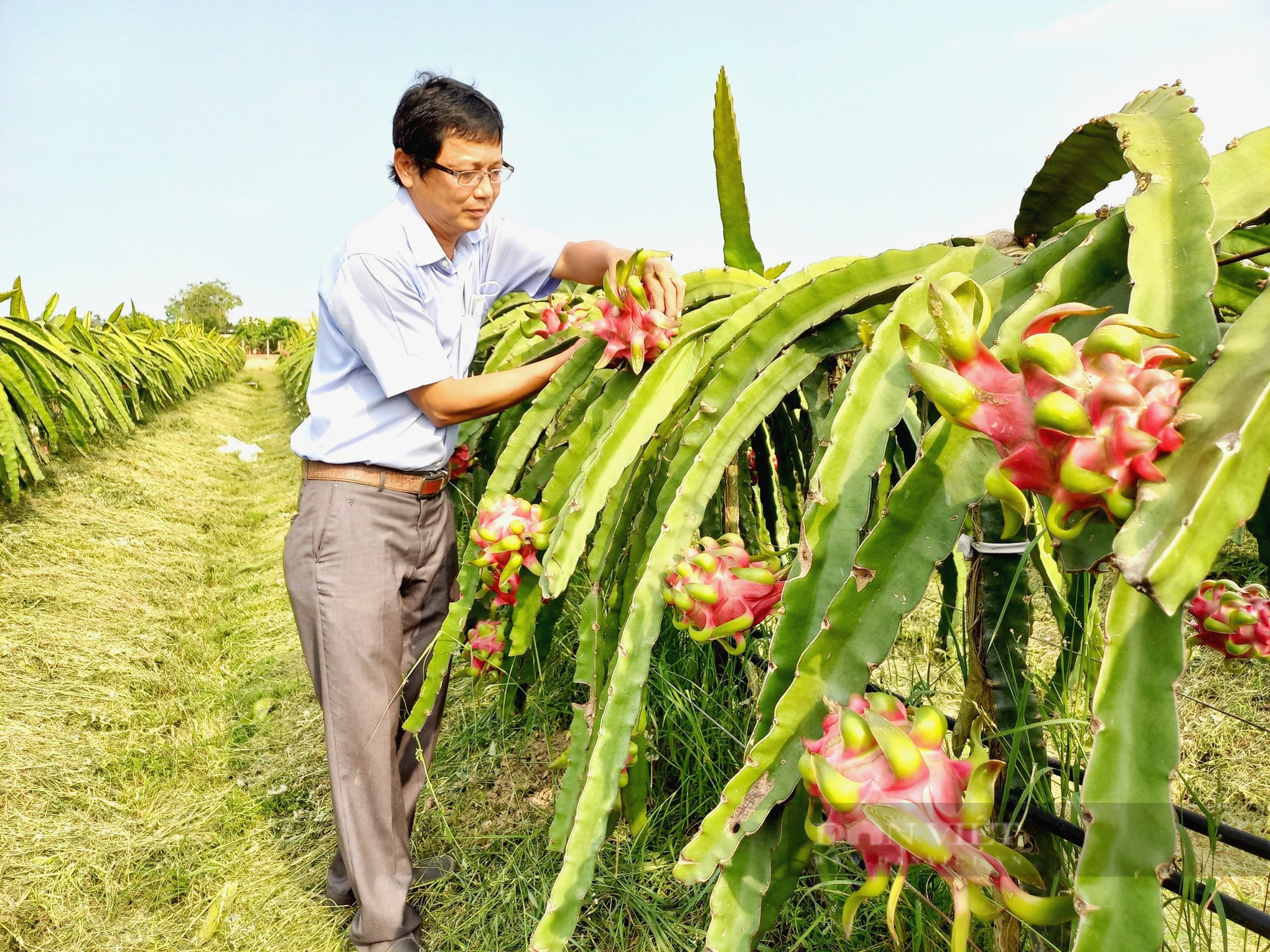 Tỉnh Long An bứt phá hoàn thành 3 chương trình đột phá, 3 công trình trọng điểm - Ảnh 4.