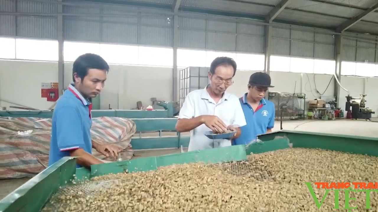 Sơn La: Ứng dụng công nghệ trong sản xuất nông nghiệp - Ảnh 2.