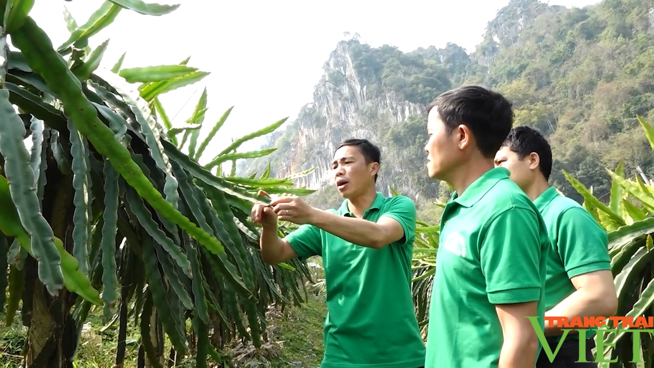 Sơn La: Ứng dụng công nghệ trong sản xuất nông nghiệp - Ảnh 3.