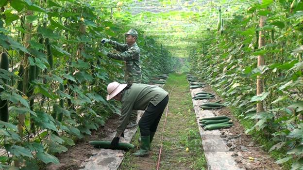 Phó Chủ tịch Hội NDVN và Phó Bí thư Thường trực Tỉnh ủy Điện Biên, dự và chỉ đạo Đại hội HND Điện Biên - Ảnh 2.