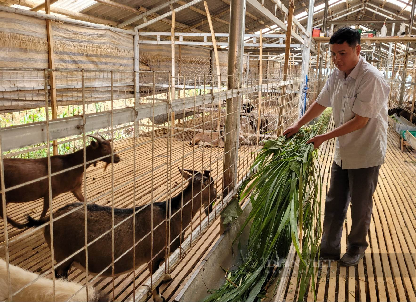 Phó Chủ tịch Hội NDVN và Phó Bí thư Thường trực Tỉnh ủy Điện Biên, dự và chỉ đạo Đại hội HND Điện Biên - Ảnh 5.