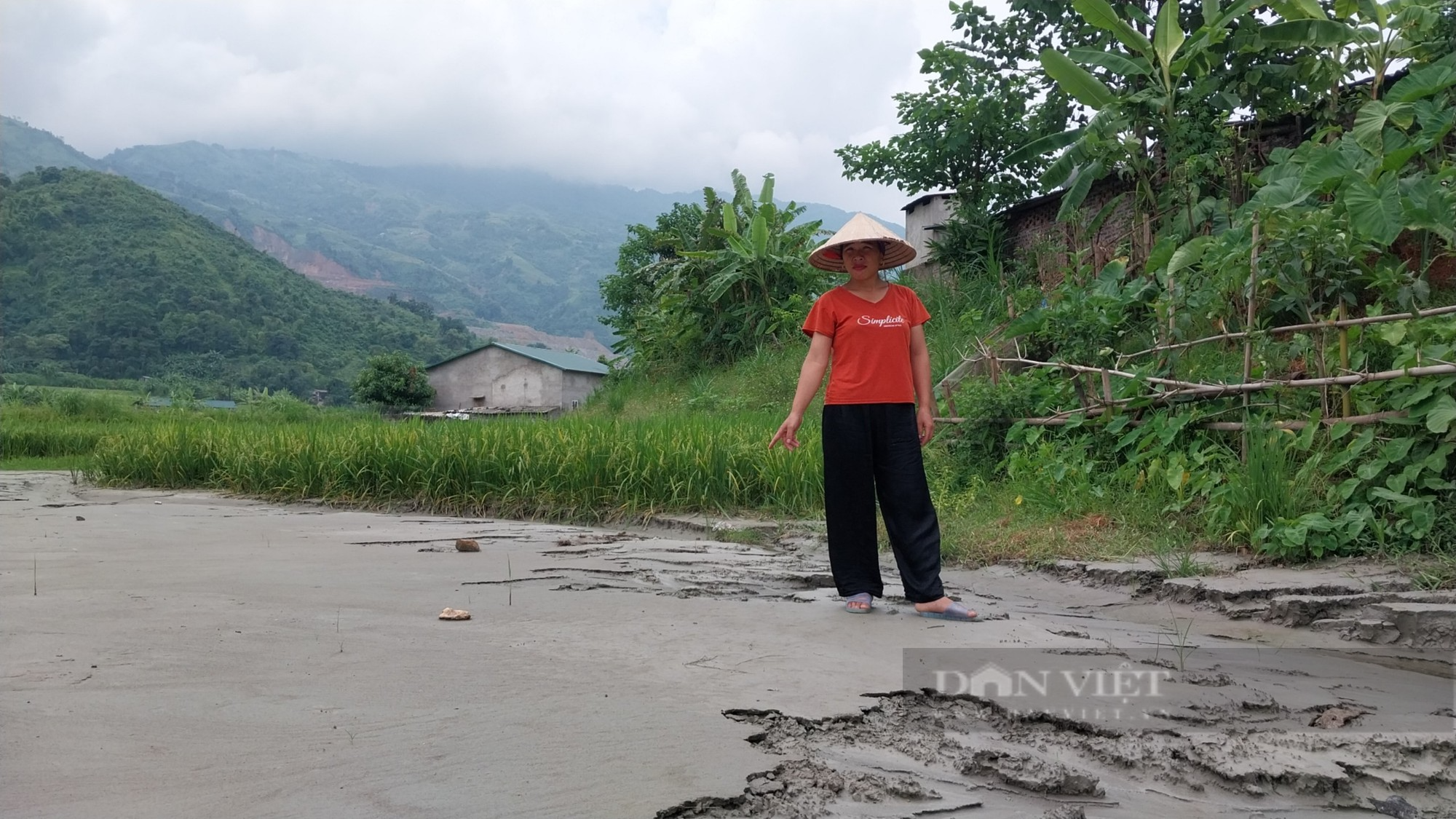 Cuộc sống người dân sau sự cố vỡ hồ thải đuôi Nhà máy tuyển quặng đồng Tả Phời ở Lào Cai giờ ra sao?  - Ảnh 5.