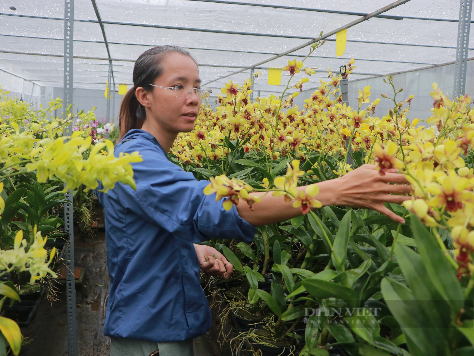 Nông dân Việt Nam xuất sắc 2023 tại TP.HCM là cô gái có niềm đam mê mãnh liệt với hoa lan - Ảnh 1.