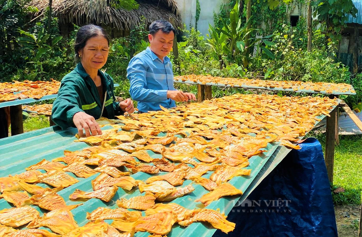 Phụ nữ vùng cao Nghệ An hái loại lộc rừng ăn ngon miệng, về xuôi nhà nào cũng tranh nhau mua - Ảnh 6.