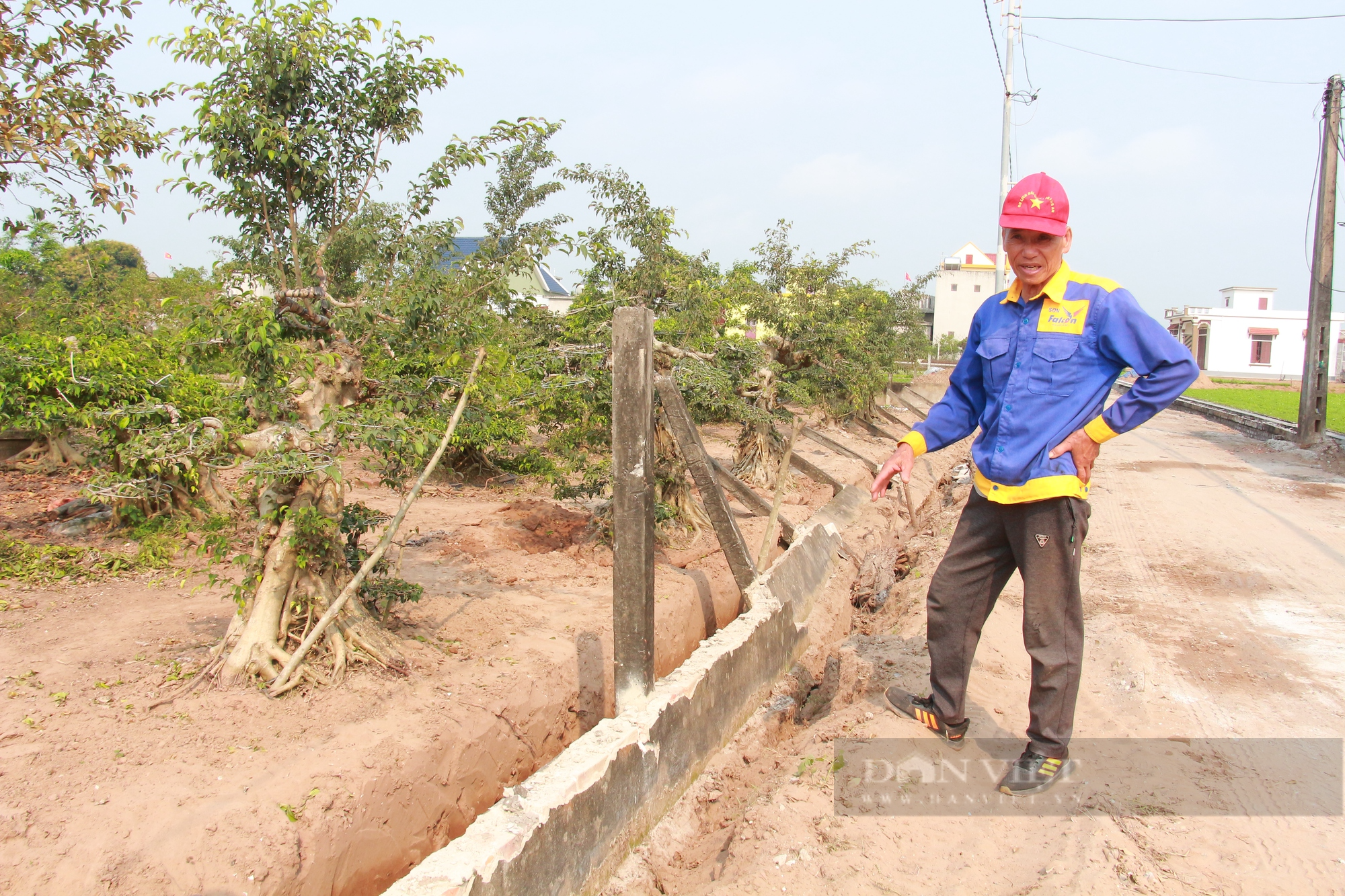 Nông dân Nam Định hiến đất, góp ngày công, ủng hộ hàng chục tỷ đồng để xây dựng nông thôn mới - Ảnh 2.