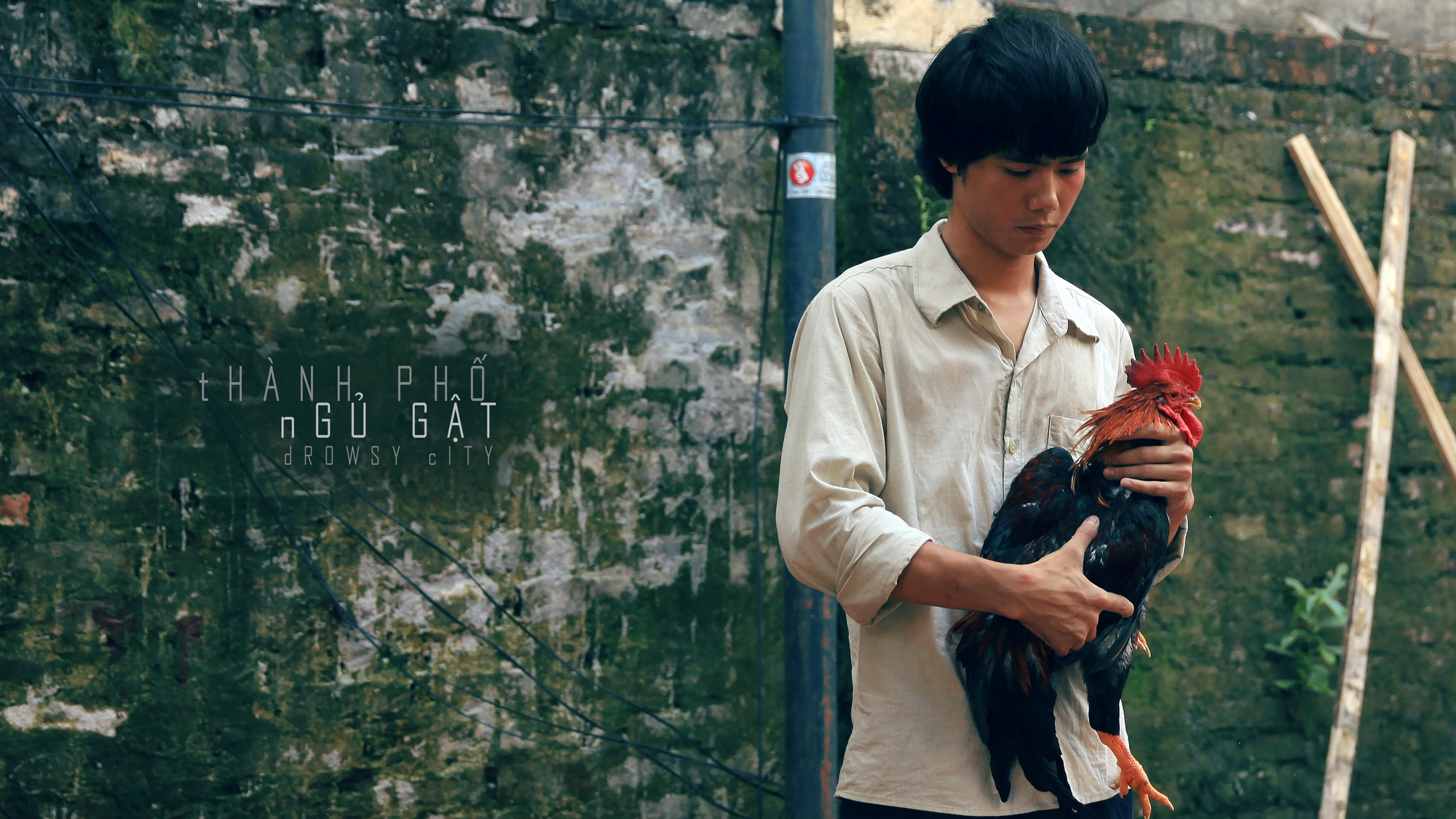 Phim Việt 18+ ra rạp tháng 10, chưa công chiếu đã gây xôn xao - Ảnh 1.