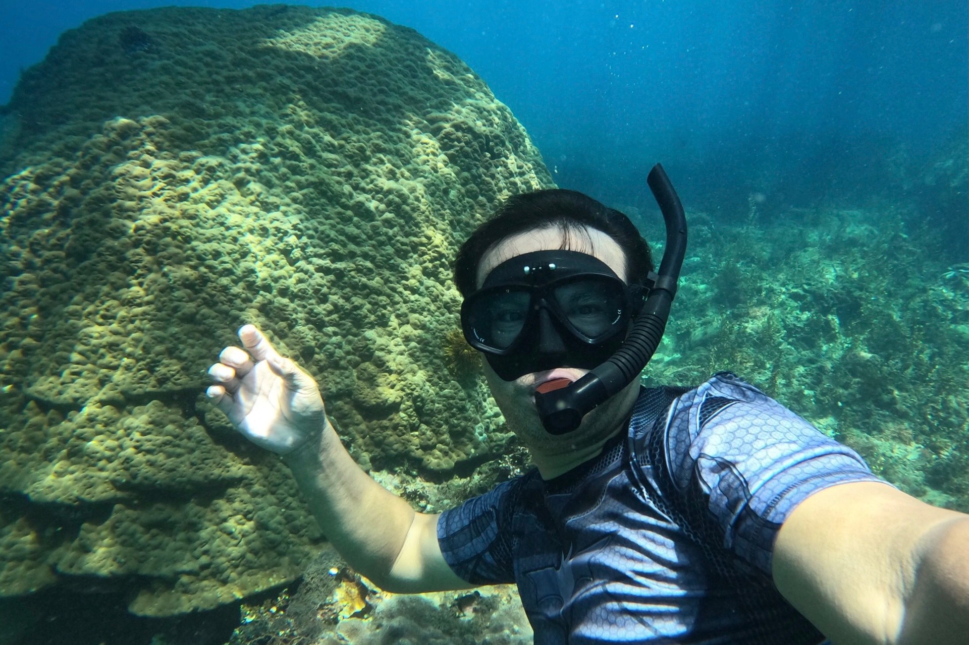 Ngỡ ngàng trước vẻ đẹp rạn san hô, sinh vật dưới đáy biển Đà Nẵng - Ảnh 11.