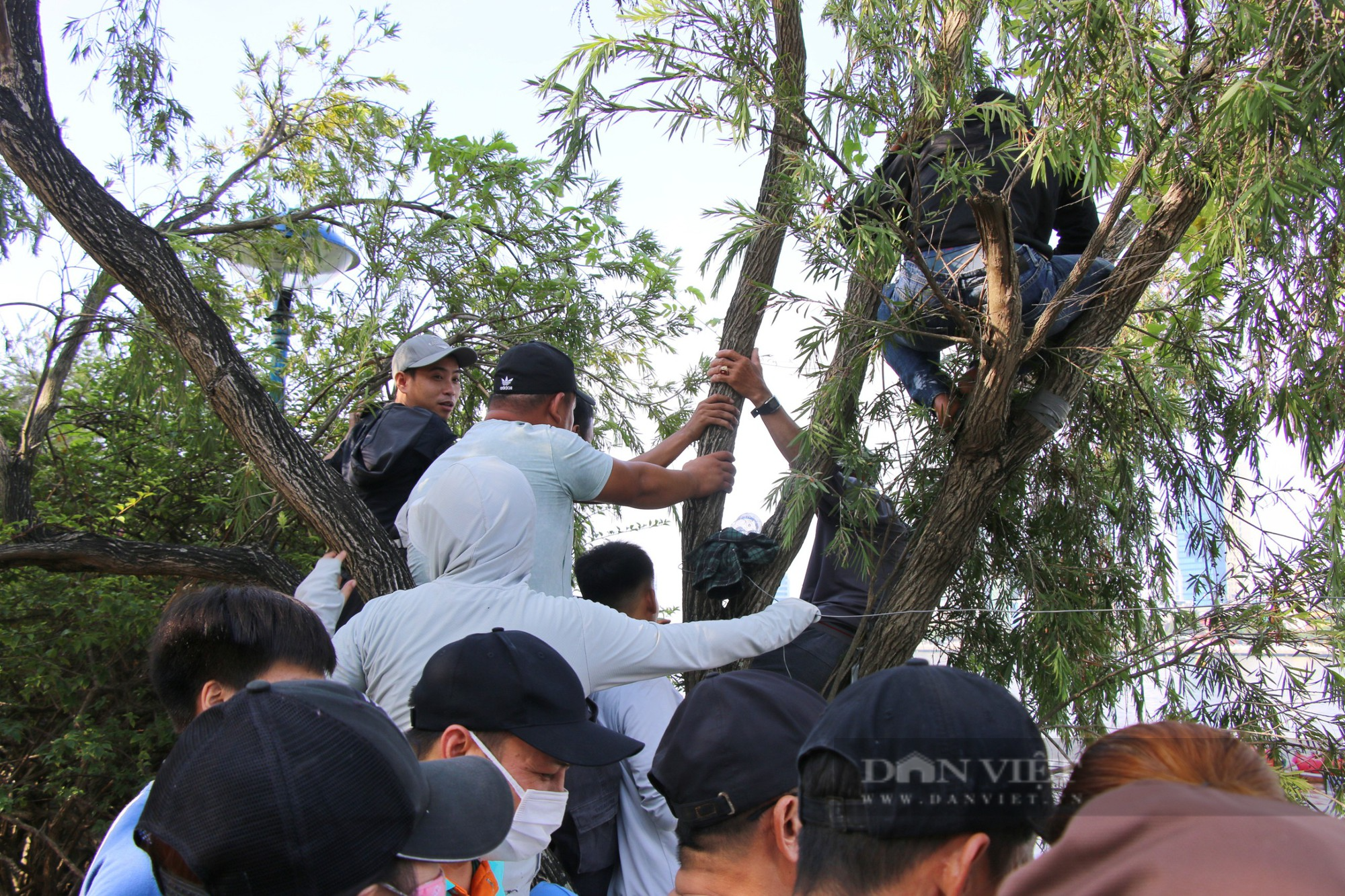 Người dân đội nắng, trèo cây cổ vũ đua thuyền tại Đà Nẵng - Ảnh 6.
