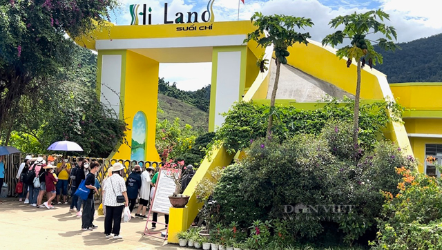Quảng Ngãi “tụt dốc” lượng khách ra tham quan đảo Lý Sơn trong dịp lễ 2/9 - Ảnh 4.