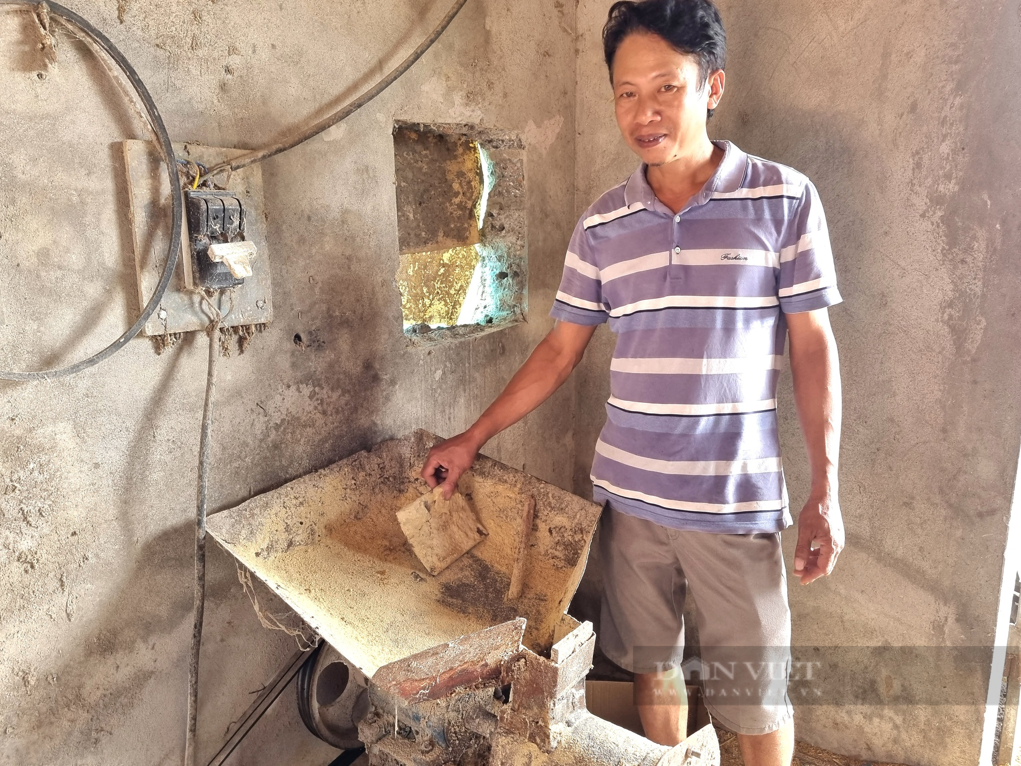 Một nông dân ở Ninh Bình nuôi chim trĩ đỏ bán hơn 500.000 đồng/cặp - Ảnh 7.