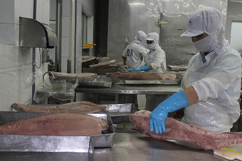 Hàn Quốc bất ngờ tăng mua một loài cá được đóng hộp của Việt Nam, sức mua tăng tới 468% - Ảnh 1.