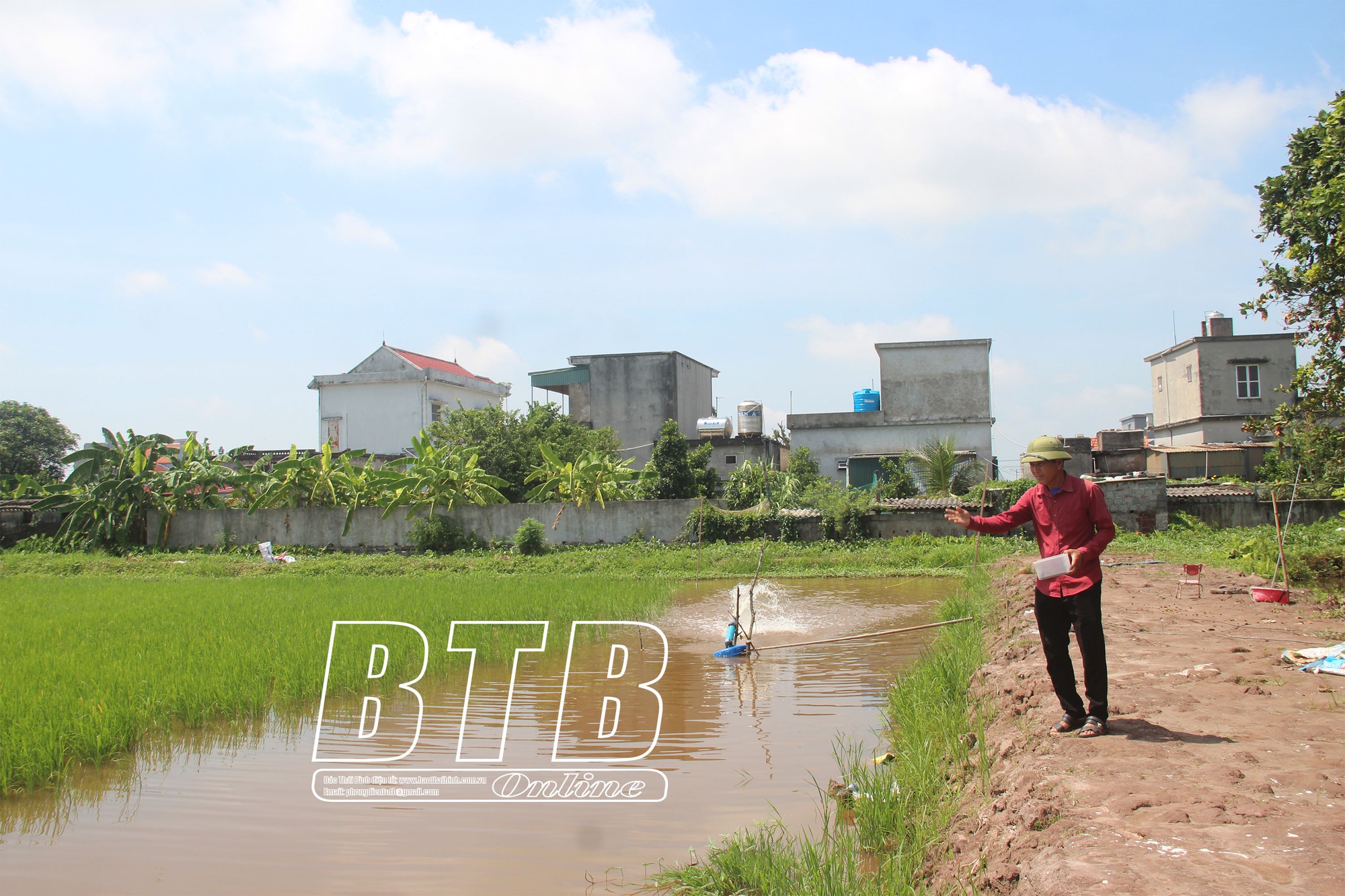 Vùng đất này của tỉnh Thái Bình, nông dân trồng lúa thơm, nuôi tôm sạch - Ảnh 1.