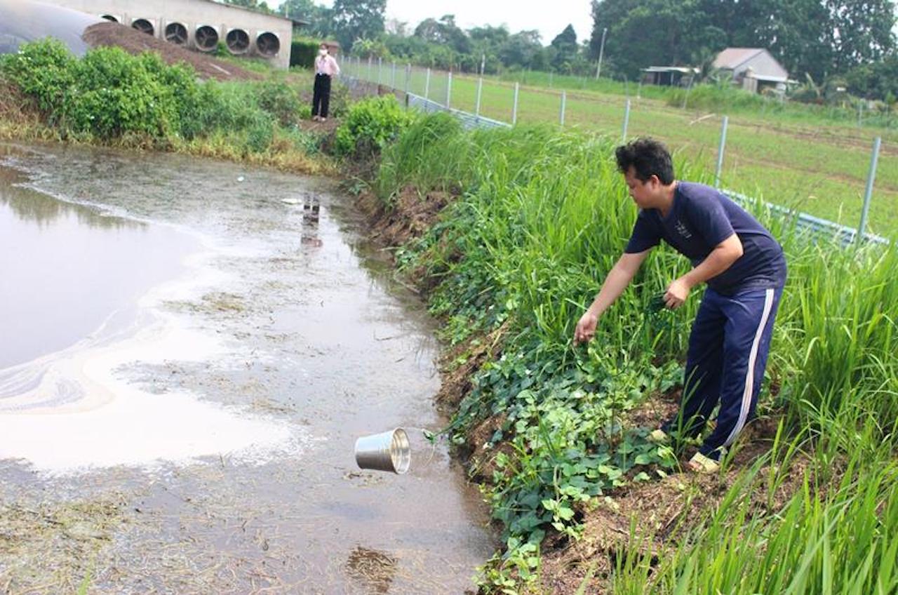 Đồng Nai buộc 4 công ty chăn nuôi lớn dừng chăn nuôi gia công với hơn 300 trang trại  - Ảnh 1.