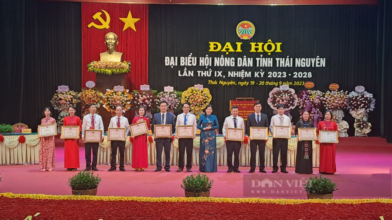 Khai mạc Đại hội đại biểu Hội Nông dân tỉnh Thái Nguyên lần thứ IX, nhiệm kỳ 2023 – 2028 - Ảnh 4.