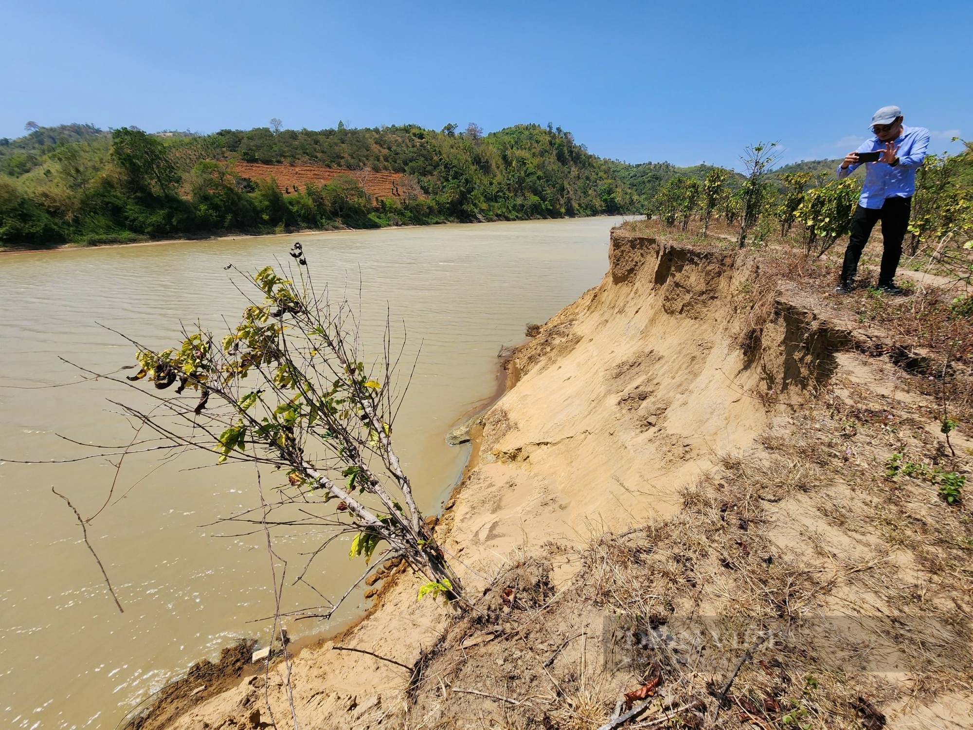 Bờ sông Krông Ana sạt lở, hai doanh nghiệp Đắk Lắk bị yêu cầu dừng khai thác cát - Ảnh 1.