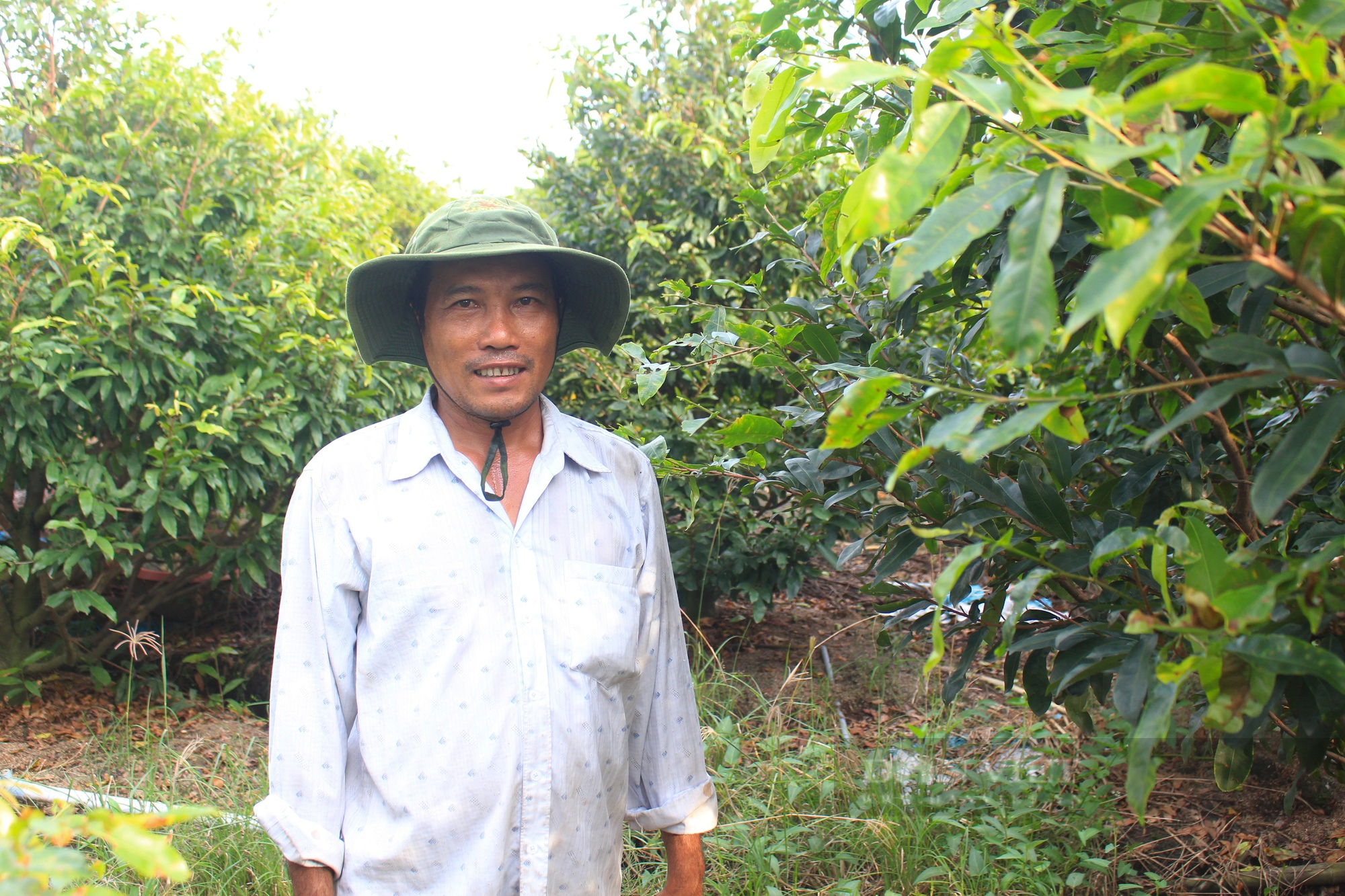 Bình Chánh tập trung chuyển đổi số trong nông nghiệp, phát triển du lịch nông thôn - Ảnh 1.