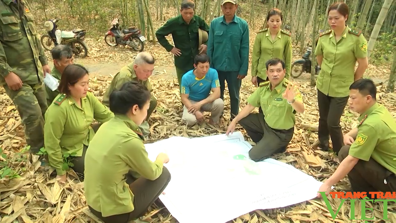 Sơn La: Đẩy mạnh tuyên truyền bảo vệ rừng, phòng cháy, chữa cháy rừng - Ảnh 3.