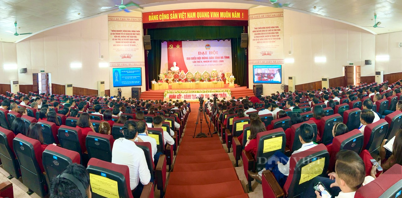 Phó Chủ tịch Hội NDVN Bùi Thị Thơm: Hà Tĩnh có nhiều cách làm hay, mô hình tốt về xây dựng nông thôn mới- Ảnh 1.