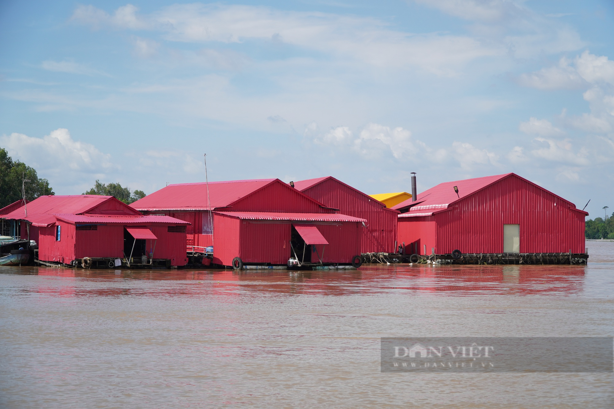 Hàng trăm &quot;căn nhà nổi&quot; phủ đầy màu sắc tại ngã ba sông Châu Đốc, tỉnh An Giang - Ảnh 3.